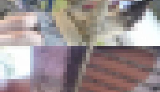 放課後JKをベンチ逆さ撮り！眩しすぎるむちむちフトモモと純白Pを極限接写！