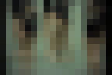 レオタードバトン　団体編（チアダンス＋）