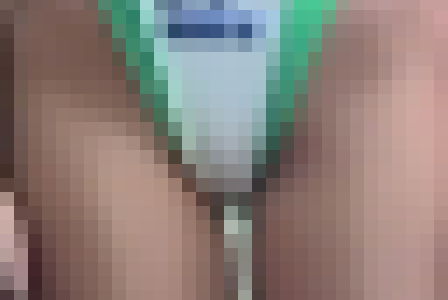 【再販】【初配信・独占配信作品】RH20-1 レースクイーンヒップヒップコレクション20～Disc.1～白ハイレグレオタード