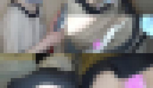 【禁断盗撮】ホテルマンのお姉さん盗撮！パンチラ・胸ちら