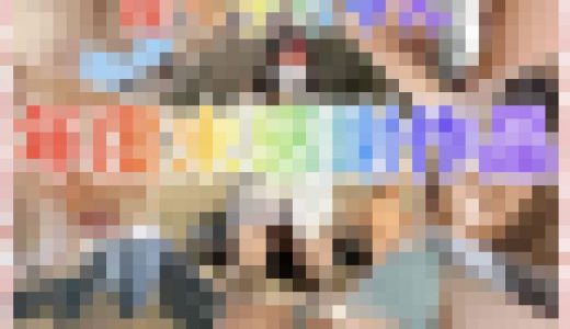 【期間限定】姪っ子ちゃん年度末感謝作品★全部新作★パンチラ・試着室・悪戯等計5シーン計78分★