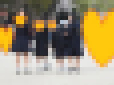 （再販）制服姿の女のコを撮影しました！！７９