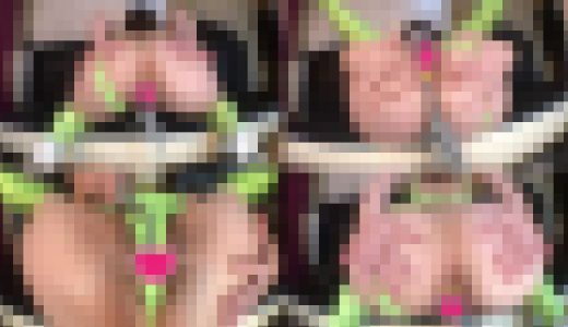 ?トイinザあス?