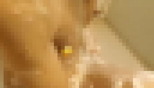 人妻入浴