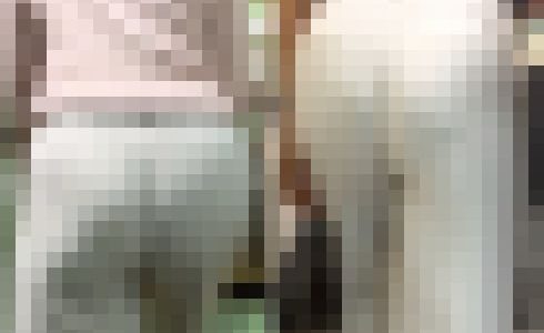 【再販商品です】   No.306「ムッチムチなお尻のモデル達　透けるパンティーラインもイヤらしい」