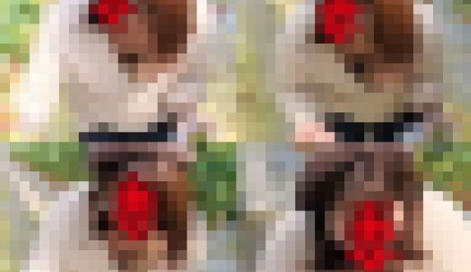【個人撮影NTR】NO.41　夫の知らない所で性欲を満たす妻