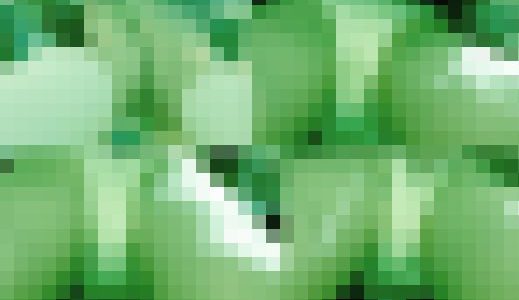 【痴かん2人セット】未開発両穴大洪水禁断痴かん特別限定長編版 2＆4