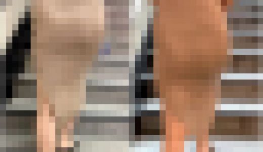 【再販商品です】 No.541「整った抜群のスタイル！高身長モデル2選」