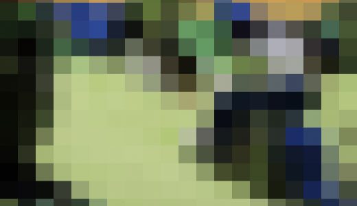体操JK　体操競技選手権大会【動画】スポーツ編 3601と3603セット販売