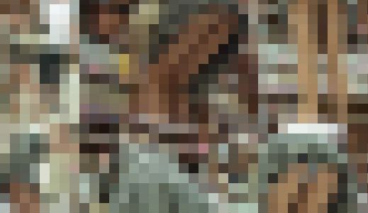 【再販】清楚系ロリかわ娘の食い込みパンツに出来る隙間がヤバイ盗撮パンチラ動画
