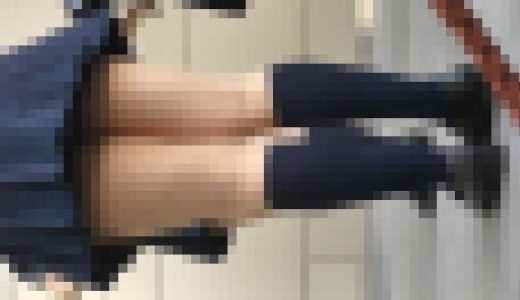 【再販】当店全商品セット！！完全制圧！！大特価！！