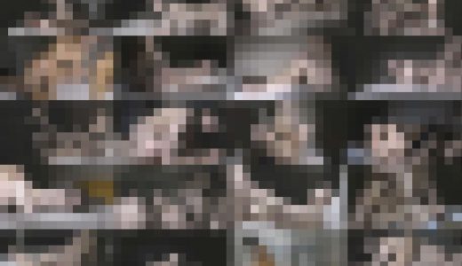 《25人600円！》【電車チカン】J○25人の別アングルハメ撮り映像をタップリ78分！★オキテ破りの特典総集編