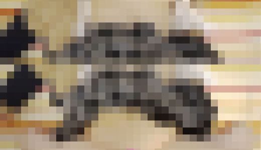 【再販】都内★さおり②　援さぽ　悪戯ハメ撮り　魔法の粉で夢の世界へ　中出し