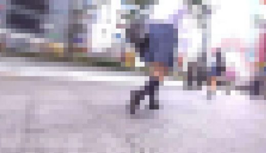 NICHE VIEW vol.97