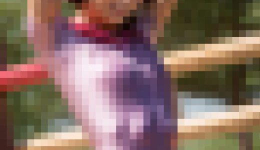 リアルっぽいスポーツ少女　ジムナスト編VOL.３　～プライベートな食い込み少女達～