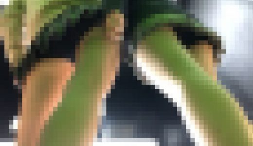 【Theプリ機の中】制服パンチラ動画