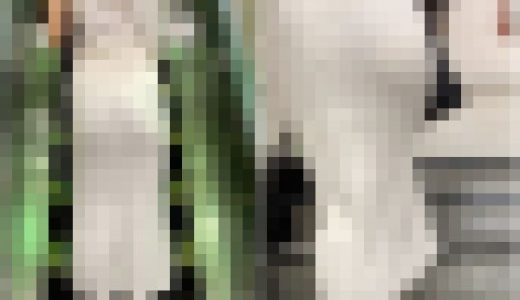 【再販】No.757「見事なパイスラッシュ！スタイル抜群なセレブ美女」