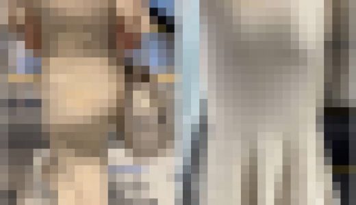 【再販】《４K・高画質》 No.768「黄色のシミ！？パワフルな肉尻を見せつけるGAL」