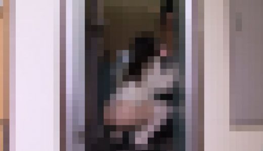 （即フェラシリーズ1）『変態ロ〇っ子ゆかりちゃん』エッチな事が大好き