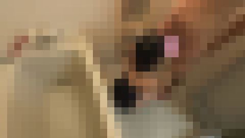 【再販】ちびっ子にスク水着せて風呂場で大量顔射！！