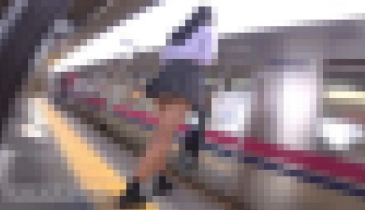 NICHE VIEW vol.99 【白日の景色】