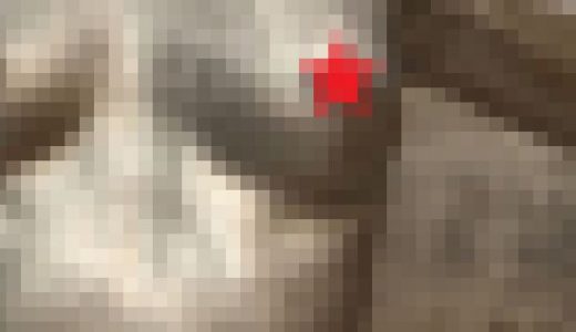 g〇ld performance show【4】