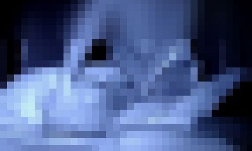 美人お姉さんのオイルマッサージ中の美巨尻がイヤらしい