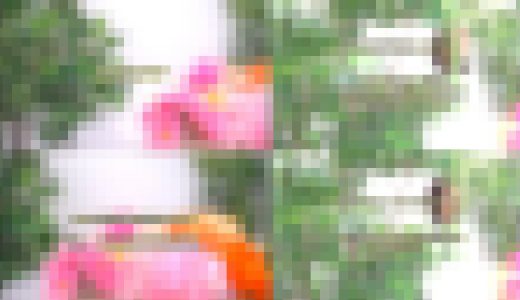 【会員制交際クラブ】審査の一部始終大公開。ショップ店員26歳足●麻●佳さん。〈身体検査、スリーサイズ、感度チェック〉