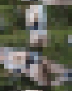 超高画質FHD動画 過激コスプレは『表現の自由』か？ 露出しまくるえっちなコスプレイヤー達NO-2 生ケツ丸出し編