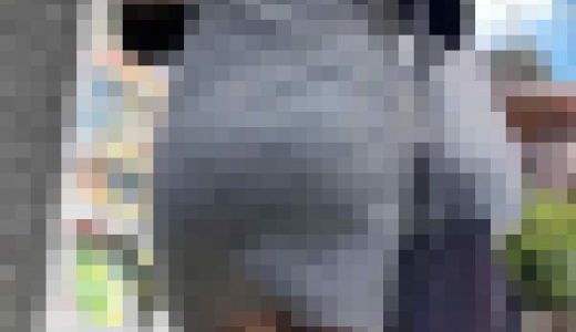 【再販】厚手のタイトなワンピを着こなすお姉さんはナイスバディを強調し突き上がったお尻をアピール！