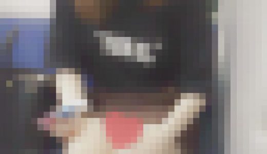 夏休みJK電車対面パンチラ