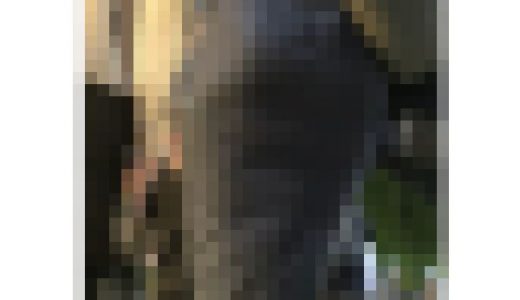 【369】スーツOL特集2024秋その③