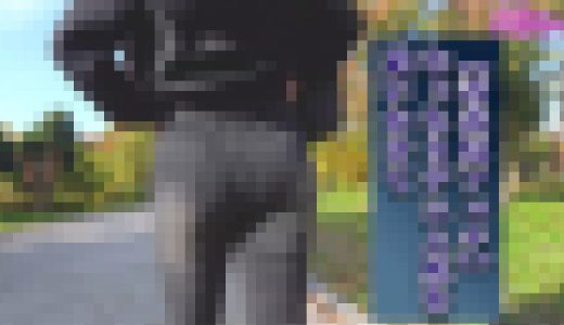 【着衣尻フェチ】歩くむっちりデニム尻を追いかけて（1）歩く着衣巨尻
