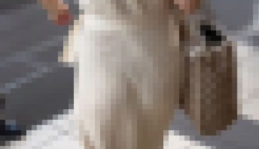 【再販】《４K・高画質》 No.1064「優雅に揺れる尻肉！上品でキレイなお姉さん美巨尻」