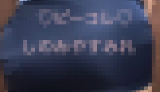 ミニスカポリスでパンチラ見せつけ?Tバックセクシーコスプレ?