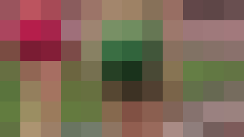 【再販】FAA-40 「新・りくブル無法地帯40」〜画像公開解禁版　ハミ防止ですけど引っ張りすぎに注意！