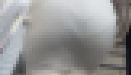 【再販】《４K・高画質》 No.1125「サービスショット！極上の曲線を描く美尻」