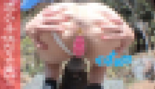 ?全身グイ込み!!公園裏でドスケベタイト水着露出!!変態出没ッ?