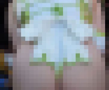 【再販】2回お辞儀で巨尻突き出しに勃起！コスプレ2016冬【動画】3作品セット販売 2956 2817 2980